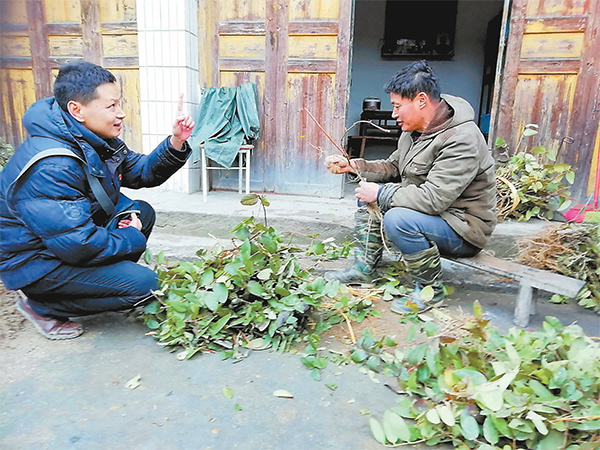 石之光在堙上村走访种植户 石之光在堙上村走访种植户